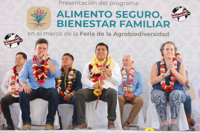 “Alimento Seguro, Bienestar Familiar”, primer programa de Estrategia Oaxaqueña
