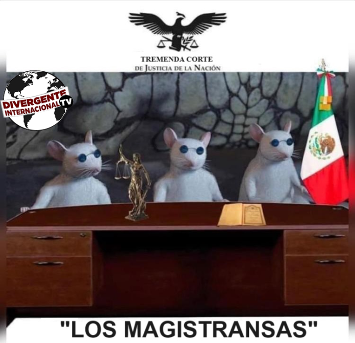 EN MI PAÍS, LA CORTE ES ASÍ: