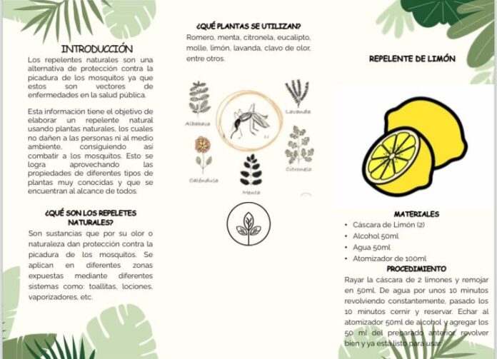 Elabora tu propio repelente contra el mosquito del dengue