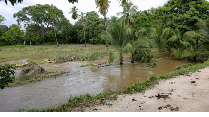 Recorre Salomón Jara daños a red carretera de Oaxaca