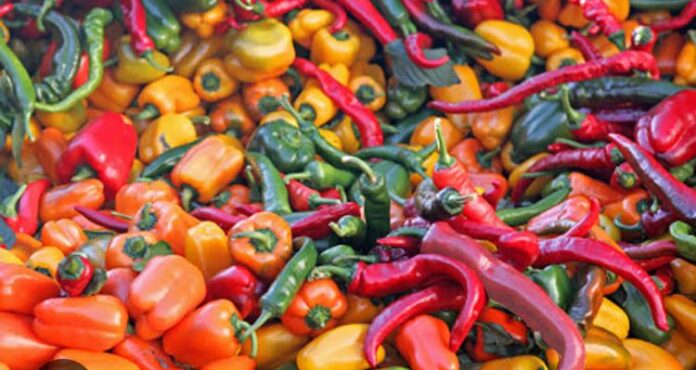 Las 64 variedades de chile de México