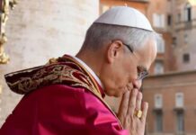 El primer papa de origen estadounidense y el segundo en venir del continente americano, Robert Francis Prevost, es una figura que intriga al mundo…