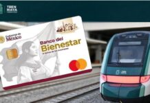 El Estado mexicano demuestra que lo público funciona y es rentable: Tren Maya