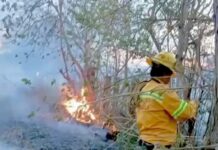 🌡️ Del 26 al 29 de abril, persistirán temperaturas extremas, fuertes vientos y baja humedad, factores que incrementan el riesgo de siniestros.