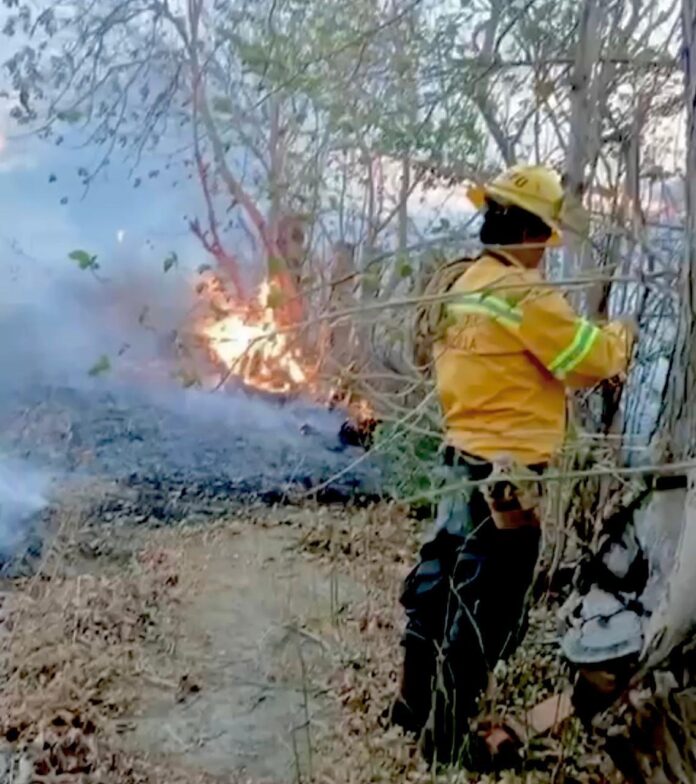 🌡️ Del 26 al 29 de abril, persistirán temperaturas extremas, fuertes vientos y baja humedad, factores que incrementan el riesgo de siniestros.