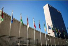 Consejo de Seguridad de la ONU: Alemania aspira a un puesto