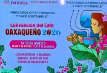 De Oaxaca para el mundo: inaugura Salomón Jara Convención del Café Oaxaqueño 2026