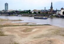 Los políticos inmóviles, mientras la ola de calor en Alemania deja impotente a los ciudadanos…