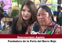 La 9a. Feria del barro rojo de San Marcos Tlapazola Oaxaca