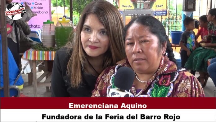 La 9a. Feria del barro rojo de San Marcos Tlapazola Oaxaca