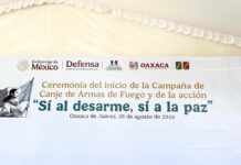 Campaña de Canje de Armas de Fuego en la Alameda de León, Oaxaca bajo el lema “Sí al desarme, sí a la paz”…