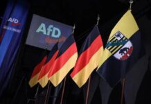 LA ULTRADERECHA REAPARECE EN EL MAPA POLÍTICO DE ALEMANIA…
